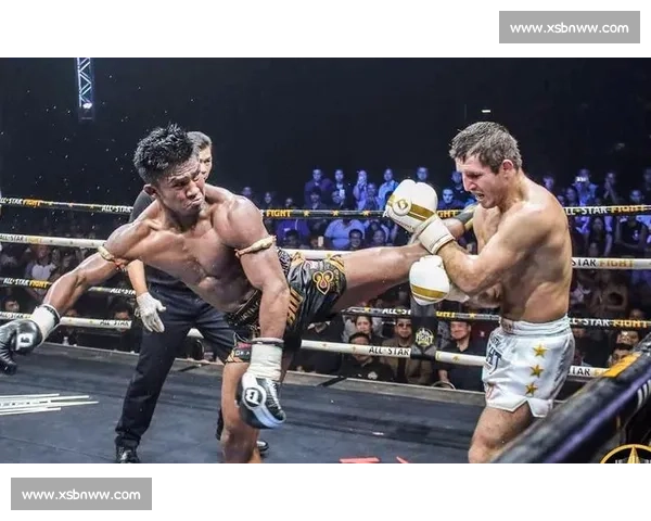 泰拳擂台碰撞中国功夫传统与现代实战的力量较量世界格斗视角下的巅峰对决